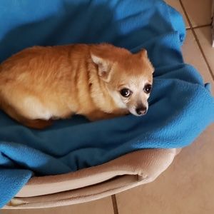 Meet your Posher, Brenda